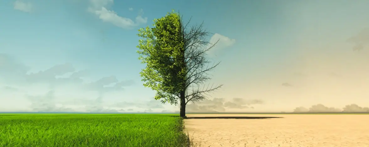 environmental